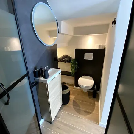 Beautiful Modern Carcassonne